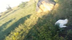 Как резать утку в селе 2