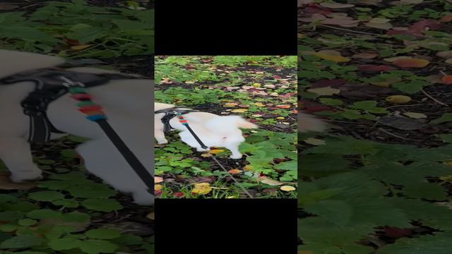 24-08-2024 смотреть онлайн