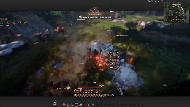 BDO Фарм Лес полли Гигант/Polly's Forest Zerker Succession on Season Yellow loot scroll 26к+ 500mln смотреть онлайн