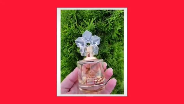 Цветущий папоротник нашли? смотреть онлайн