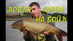 Ловля карпа на бойлы. Супер рыбалка, отличный улов!