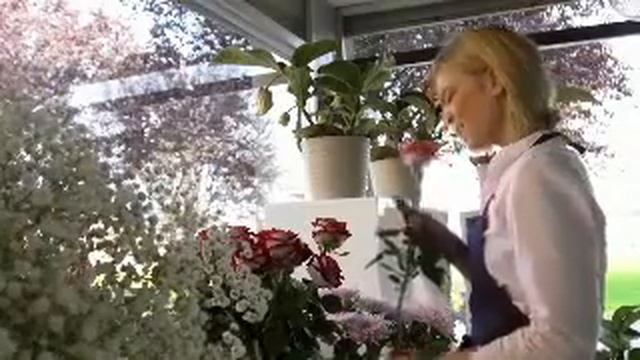 Send flowers to Ukraine смотреть онлайн