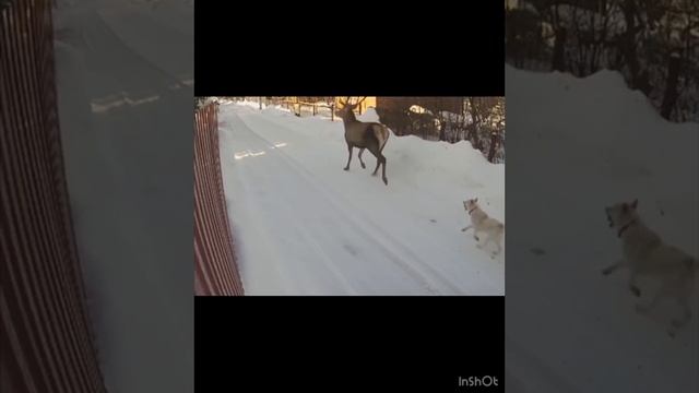 VID-20240211-WA0000 смотреть онлайн