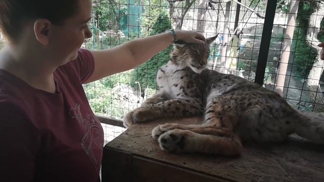 Марс знакомится с гостями смотреть онлайн