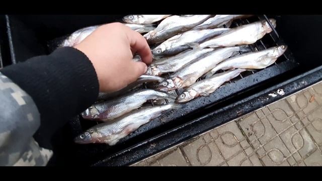 Домашний кулинарный курс