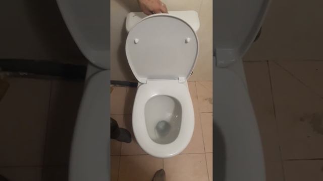 Смыв унитаза SANTEK Бореаль смотреть онлайн