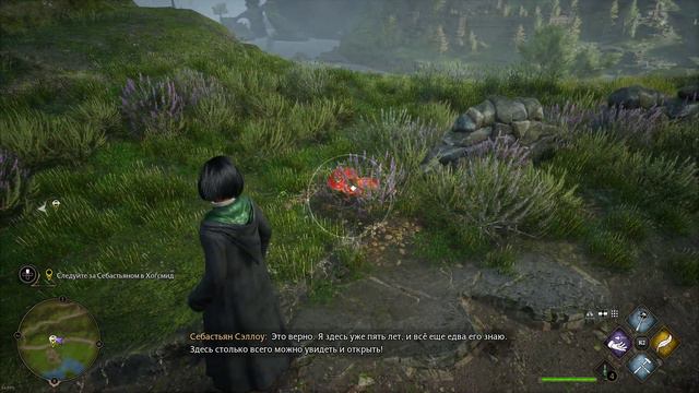 Hogwarts Legacy мое прохождение. смотреть онлайн