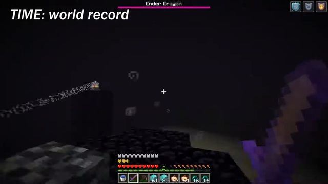 (WR) JAVA 1.16.4 GLITCHLESS/RANDOM SEED WORLD RECORD SPEEDRUN смотреть онлайн