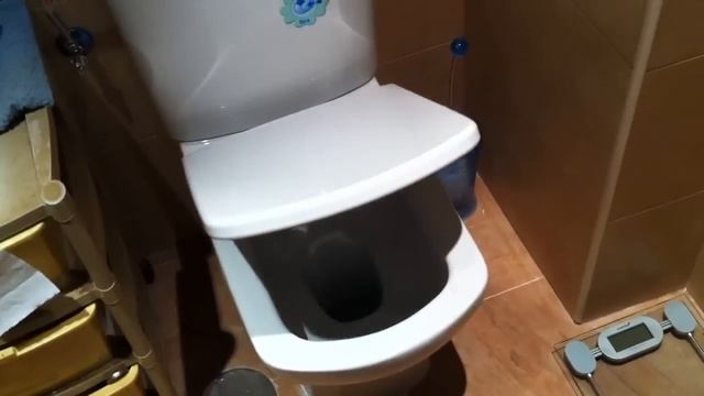 Retrete modelo Dama Senso Compact de Roca смотреть онлайн