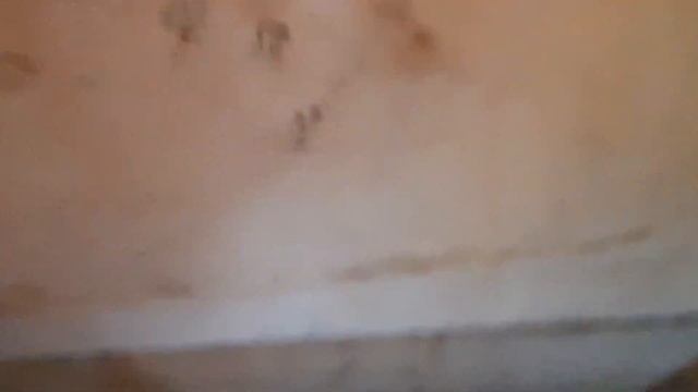 Купили дачу //Наша дача зимой// чистим теплицу //Обзор дома //Наш огород зимой//простая жизнь смотреть онлайн