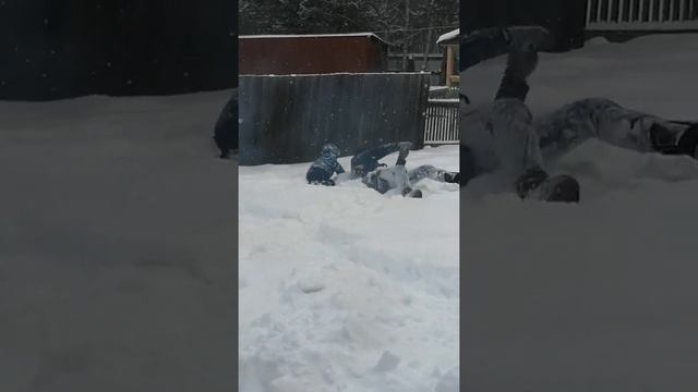 Наше веселье в новом доме мечты, который будем делать своими руками 🙂 смотреть онлайн