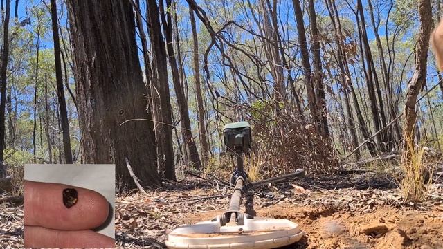 Minelab GPZ 7000 Gold Nuggets with Lost Treasures - Clermont Queensland смотреть онлайн