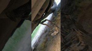 Nissan Pathfinder, ошибка P 1212, обрыв связи с блоком АБС