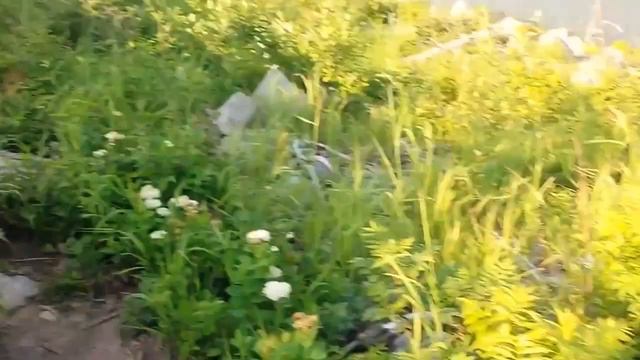 Поход на гору Пидан в жару (до +45) с ночевкой у реки. смотреть онлайн