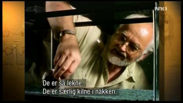 How rats laugh смотреть онлайн