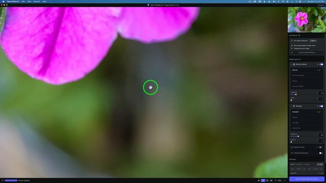 TOPAZ PHOTO AI  (New Update Version 1.3.4) Now With 2 NEW (REMOVE NOISE) Beta Models
