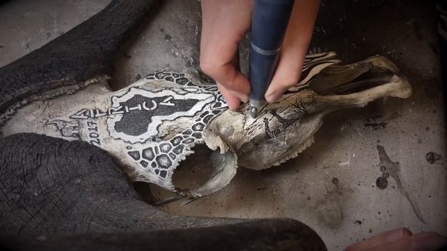 Tattoo Art and Hunting Worlds COLLIDE! Check out this unique skull and antler art! смотреть онлайн