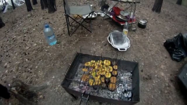 Поездка в Караканский бор. Берег Обского моря. Закрытие летнего туристического сезона 2013 смотреть онлайн