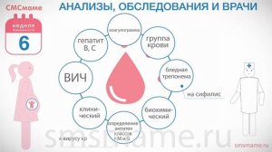 6 неделя беременности, первая встреча с врачом, первые анализы