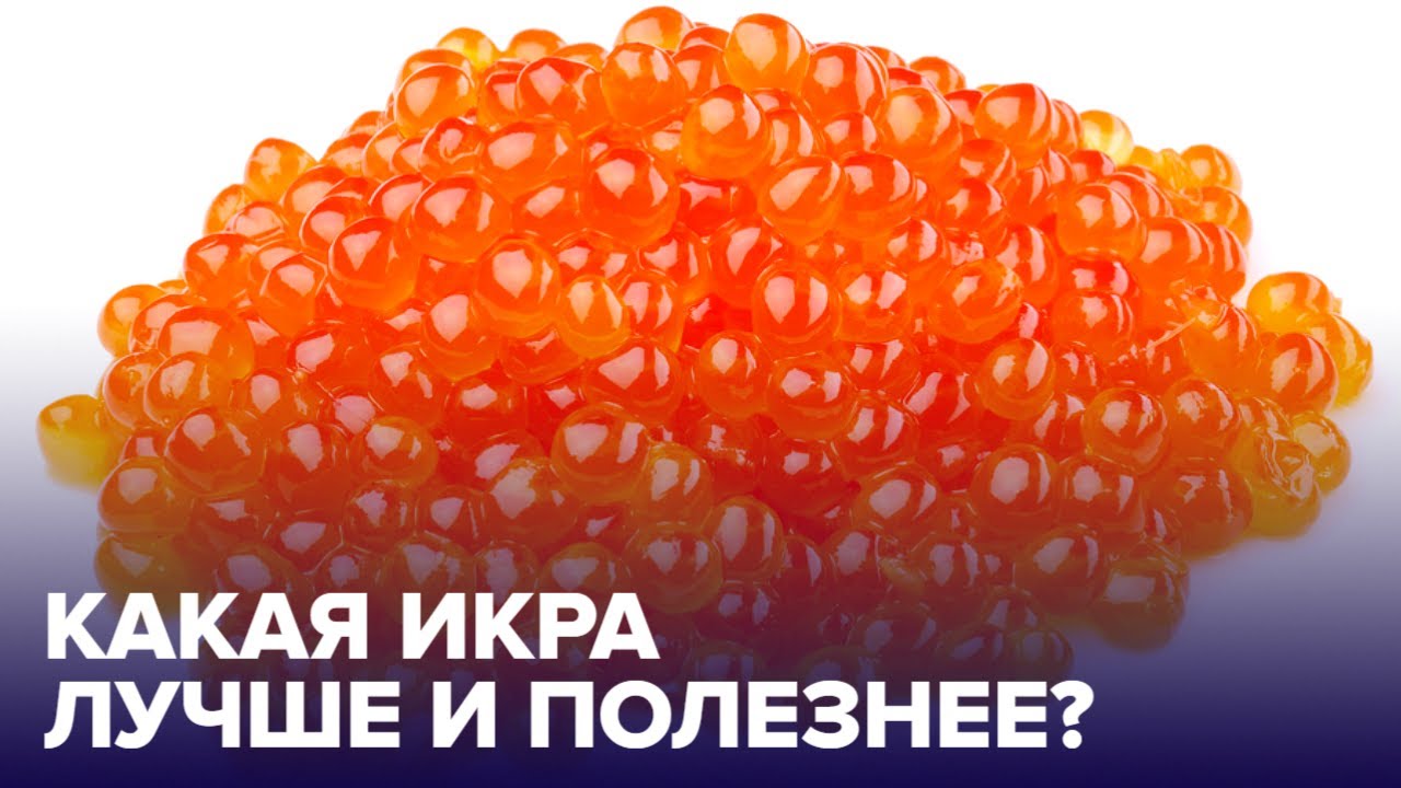 Красная ИКРА: как выбрать самую ПОЛЕЗНУЮ смотреть онлайн