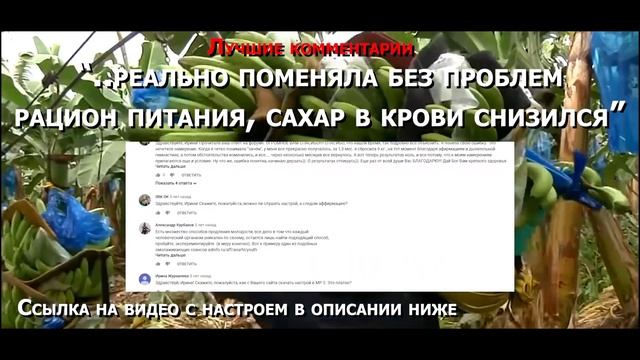 УШЛО 15 КГ! Слушала настрой против переедания смотреть онлайн