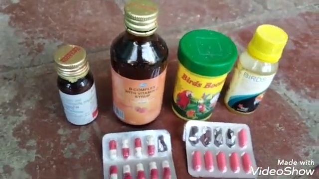 Sukka is not incurable disease_ How to cure sukka and what is sukka disease смотреть онлайн
