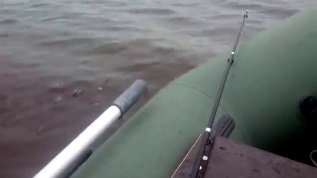 за окунем по каме смотреть онлайн