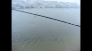 Обзор карпового удилища JUNIOR CARP 360 3,5 lb от компании MIFINE (ДЖУНИОР КАРП)