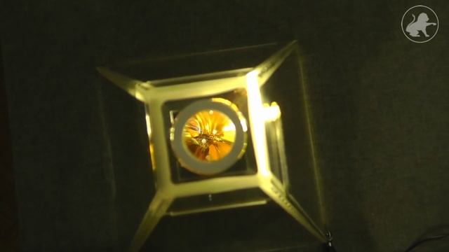 Выставка Доисторические насекомые в янтаре Ульяновск смотреть онлайн