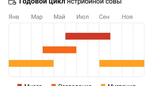 гнездовые периоды различных видов птиц за прошлый год смотреть онлайн