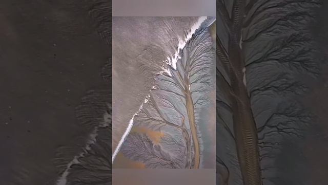 Иногда это называют "Приливное дерево".🌳Красиво 👍 Достойно 🙂 bayoun.ru #приливы #природа #красота смотреть онлайн