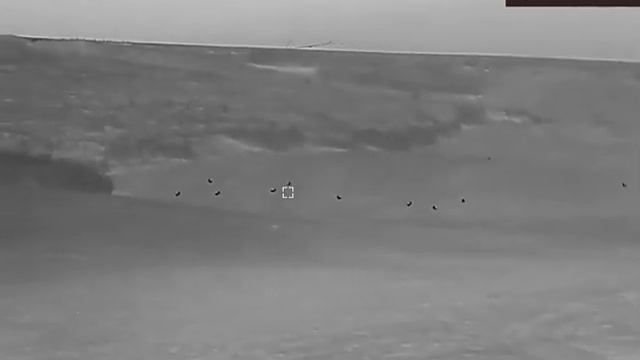 Hikmicro Gryphon GQ35LRF- ???? (550m) смотреть онлайн