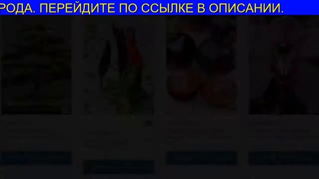 Лучшие Сорта Капусты смотреть онлайн