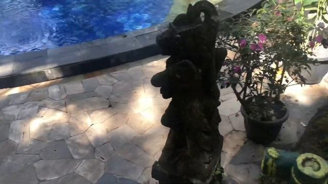 INDO Vlog:ПЕРЕЕХАЛИ В ДЖУНГЛИ/ДОМнаДЕРЕВЕ/КУПАЕМСЯ с ДЕЛЬФИНАМИ смотреть онлайн