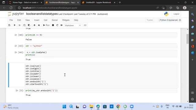 Python Datatypes - Boolean смотреть онлайн
