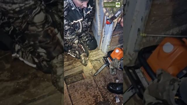 Как мы зайца ловили. смотреть онлайн