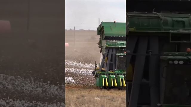 Умный дом: новинки и обзоры