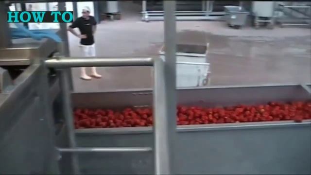Ketchup production/Производство кетчупа смотреть онлайн