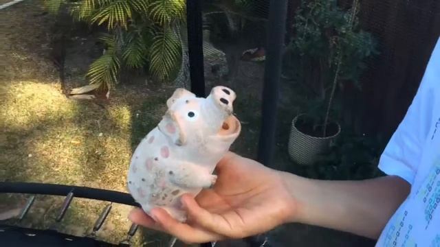 The Bouncy Game смотреть онлайн