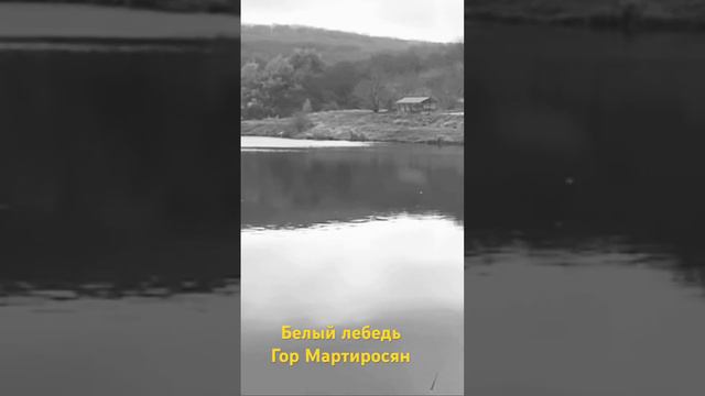 Белый Лебедь смотреть онлайн
