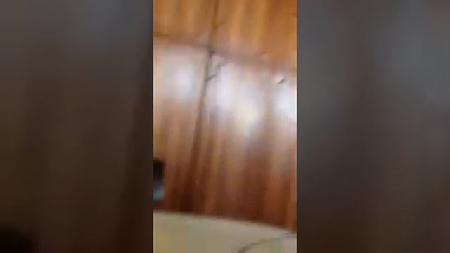 Стрекочущая кошка смотреть онлайн