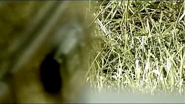 Honda Concerto Commercial смотреть онлайн