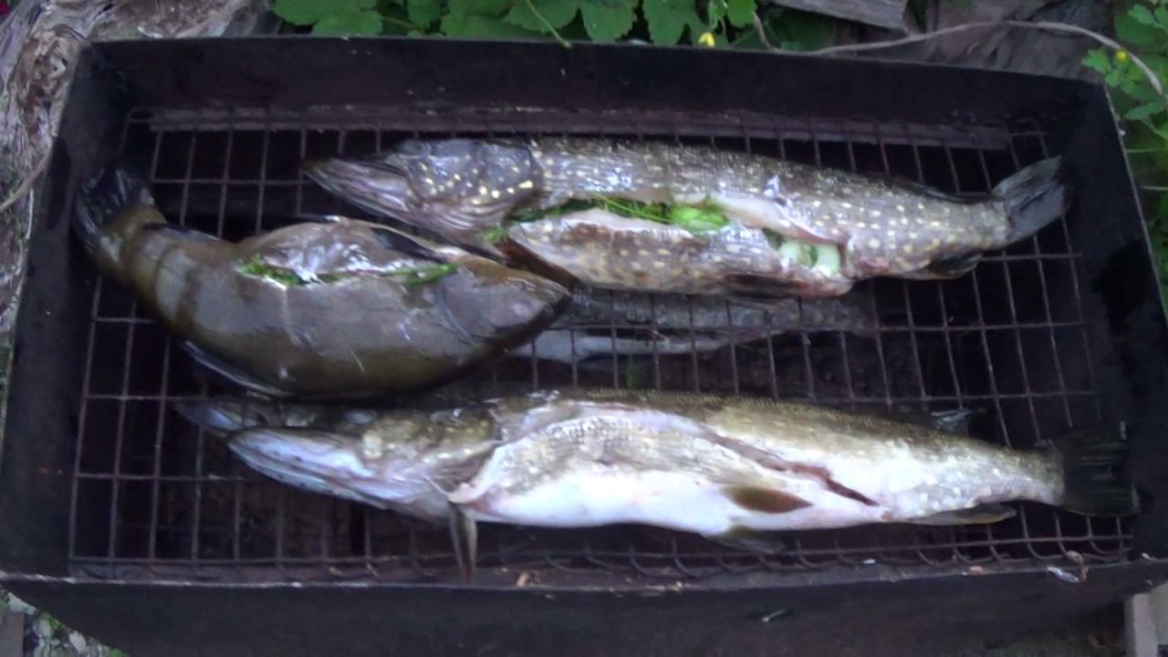 Щука горячего копчения смотреть онлайн