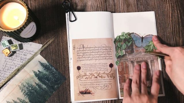 АСМР Заполнение Личного Дневника // СКРАПБУКИНГ // Journal With Me ASMR смотреть онлайн