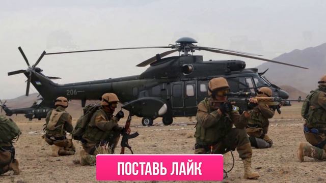 СРОЧНО! 15 АВГУСТА ЧАС НАЗАД УЗБЕКИСТАН И АФГАНИСТАН НА ГРАНИЦЕ! СЕГОДНЯ ВАЖНЫЕ НОВОСТИ УЗБЕКИСТАНА смотреть онлайн