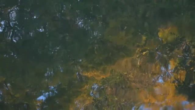 Полное расслабление и погружение в сон | медитация смотреть онлайн