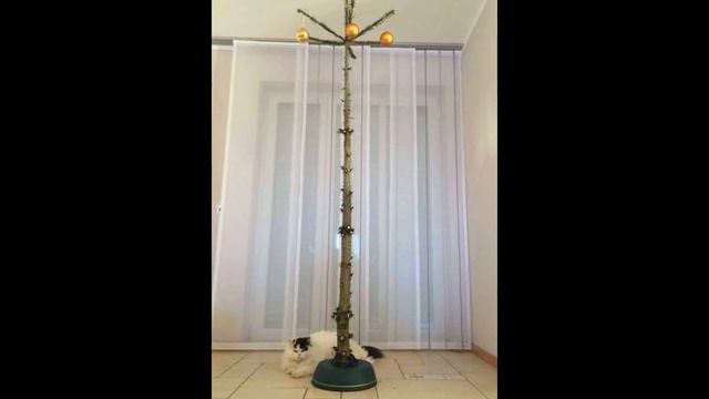 Новогодняя ёлка. Новогодний облом. Christmas tree смотреть онлайн