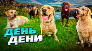 Самый лучший день в жизни Дени🥳 Покупаем в магазине все, что захочет Дени🤑