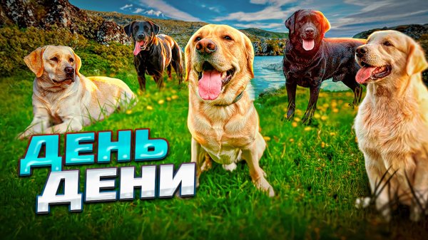 Самый лучший день в жизни Дени🥳 Покупаем в магазине все, что захочет Дени🤑