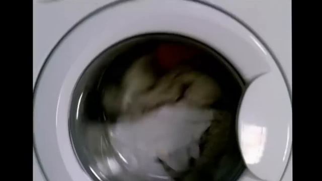 МойДодыр :D смотреть онлайн